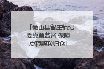 微山县留庄镇纪委靠前监督 保障夏粮颗粒归仓