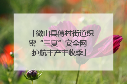 微山县傅村街道织密“三夏”安全网 护航丰产丰收季
