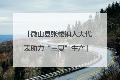 微山县张楼镇人大代表助力“三夏”生产