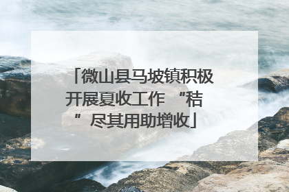 微山县马坡镇积极开展夏收工作 “秸”尽其用助增收