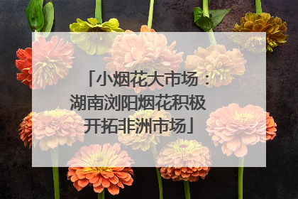 小烟花大市场：湖南浏阳烟花积极开拓非洲市场