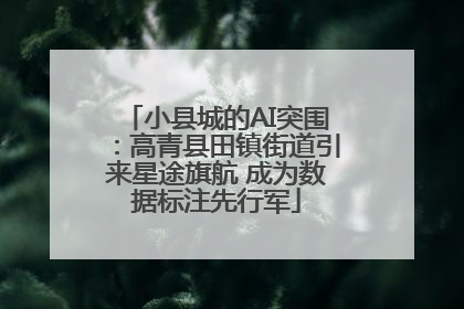 小县城的AI突围：高青县田镇街道引来星途旗航 成为数据标注先行军