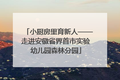 小厨房里育新人——走进安徽省界首市实验幼儿园森林分园