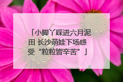 小脚丫踩进六月泥田 长沙萌娃下场感受“粒粒皆辛苦”