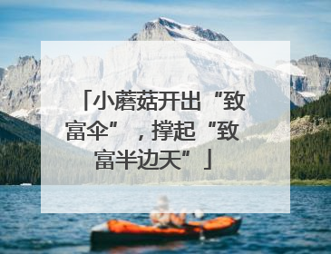 小蘑菇开出“致富伞”，撑起“致富半边天”