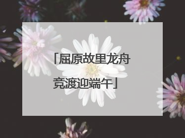 屈原故里龙舟竞渡迎端午
