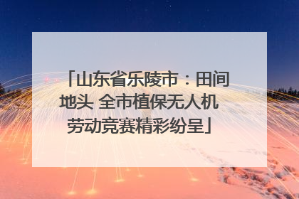 山东省乐陵市：田间地头 全市植保无人机劳动竞赛精彩纷呈
