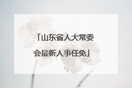 山东省人大常委会最新人事任免