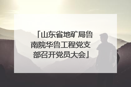 山东省地矿局鲁南院华鲁工程党支部召开党员大会