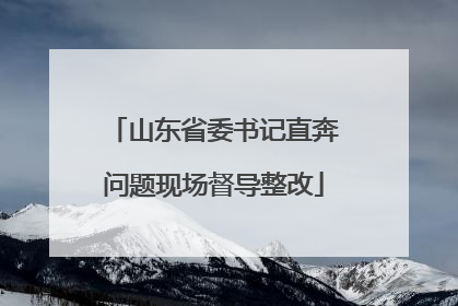 山东省委书记直奔问题现场督导整改