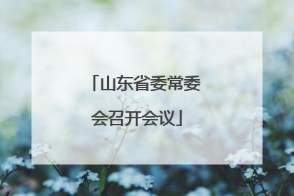 山东省委常委会召开会议