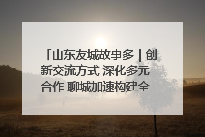 山东友城故事多｜创新交流方式 深化多元合作 聊城加速构建全球友城新格局
