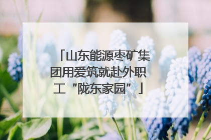 山东能源枣矿集团用爱筑就赴外职工“陇东家园”