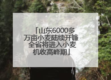 山东6000多万亩小麦陆续开镰 全省将进入小麦机收高峰期