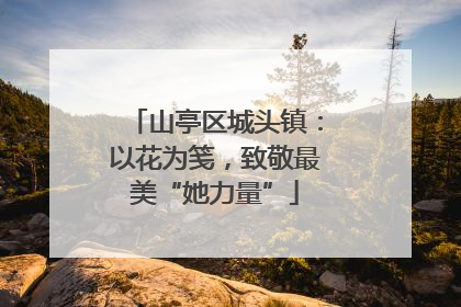 山亭区城头镇：以花为笺，致敬最美“她力量”