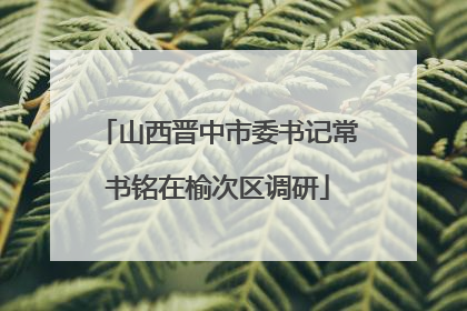 山西晋中市委书记常书铭在榆次区调研
