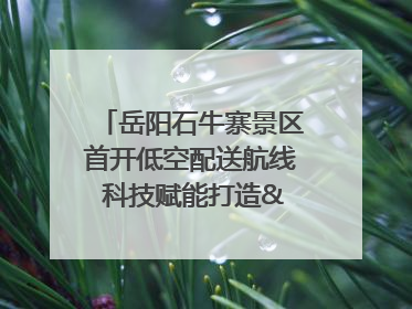 岳阳石牛寨景区首开低空配送航线 科技赋能打造"空中便利店"
