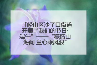 崂山区沙子口街道开展“我们的节日·端午”——“粽情山海间 童心乘风浪”文明实践活动