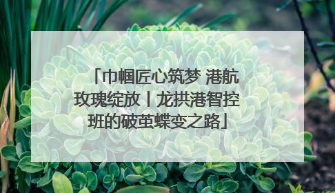 巾帼匠心筑梦 港航玫瑰绽放丨龙拱港智控班的破茧蝶变之路
