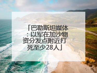巴勒斯坦媒体：以军在加沙物资分发点附近打死至少28人