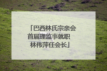 巴西林氏宗亲会首届理监事就职 林伟萍任会长