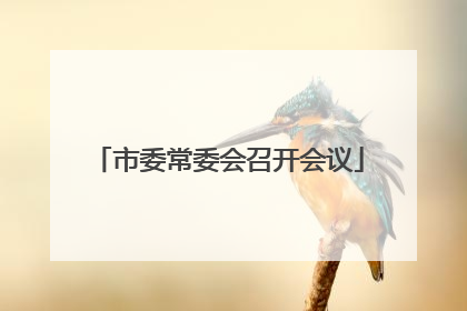 市委常委会召开会议