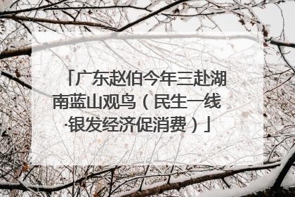 广东赵伯今年三赴湖南蓝山观鸟（民生一线·银发经济促消费）