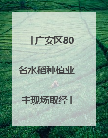 广安区80名水稻种植业主现场取经