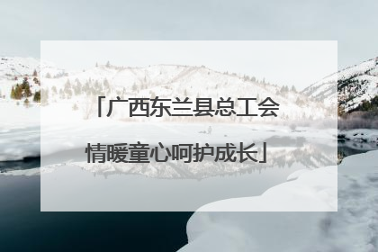 广西东兰县总工会情暖童心呵护成长