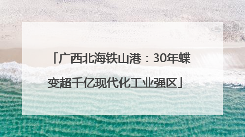 广西北海铁山港：30年蝶变超千亿现代化工业强区