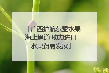 广西护航东盟水果海上通道 助力进口水果贸易发展