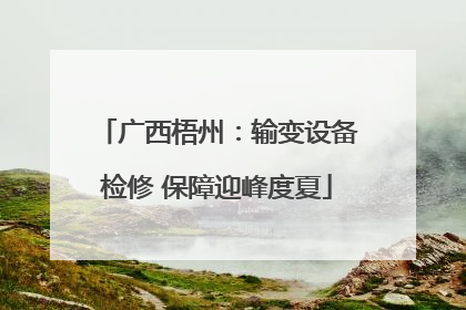 广西梧州：输变设备检修 保障迎峰度夏