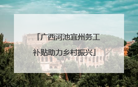 广西河池宜州务工补贴助力乡村振兴