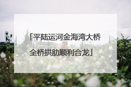 平陆运河金海湾大桥全桥拱肋顺利合龙