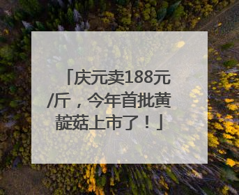 庆元卖188元/斤，今年首批黄靛菇上市了！