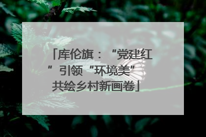 库伦旗：“党建红”引领“环境美” 共绘乡村新画卷