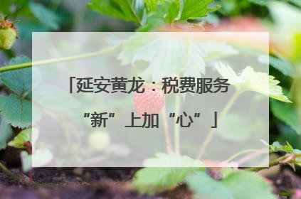 延安黄龙：税费服务“新”上加“心”