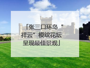 张三口环岛“祥云”模纹花坛呈现最佳景观