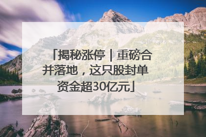 揭秘涨停｜重磅合并落地，这只股封单资金超30亿元