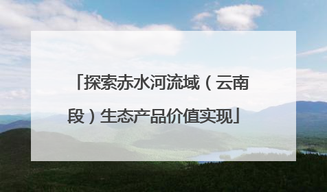 探索赤水河流域（云南段）生态产品价值实现