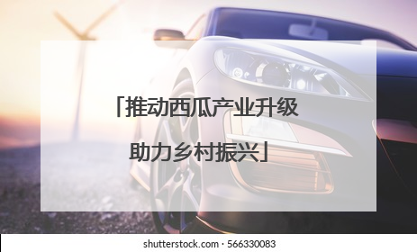 推动西瓜产业升级 助力乡村振兴