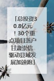 总投资30.8亿元！30个重点项目落户甘肃崇信 驱动县域发展加速跑