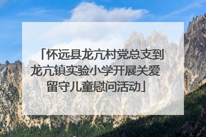 怀远县龙亢村党总支到龙亢镇实验小学开展关爱留守儿童慰问活动
