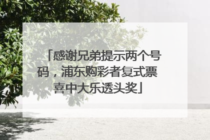 感谢兄弟提示两个号码，浦东购彩者复式票喜中大乐透头奖