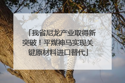 我省尼龙产业取得新突破！平煤神马实现关键原材料进口替代