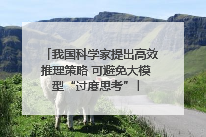 我国科学家提出高效推理策略 可避免大模型“过度思考”