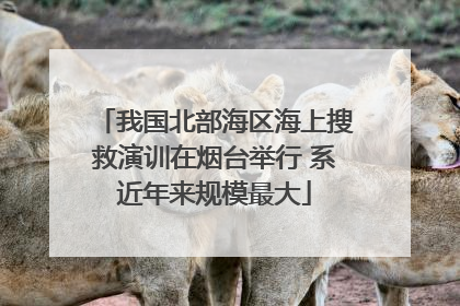 我国北部海区海上搜救演训在烟台举行 系近年来规模最大