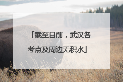 截至目前，武汉各考点及周边无积水