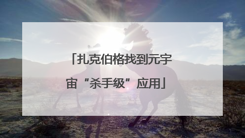扎克伯格找到元宇宙“杀手级”应用