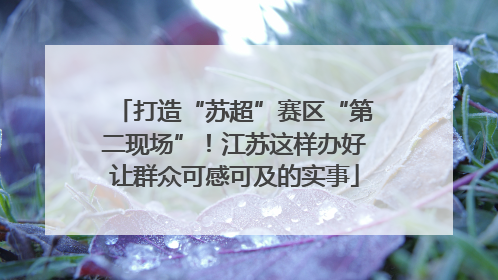 打造“苏超”赛区“第二现场”！江苏这样办好让群众可感可及的实事